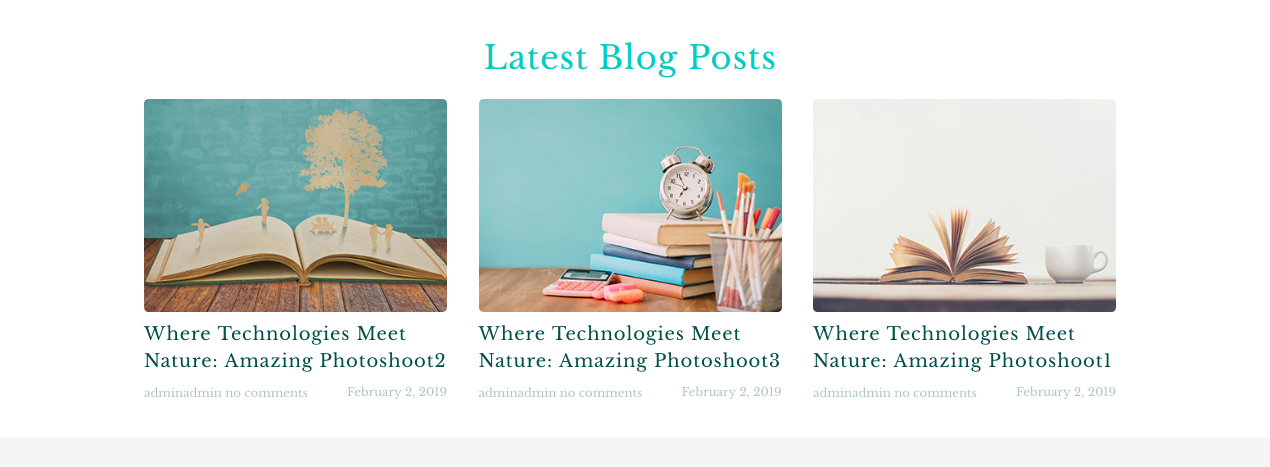 set Blog section